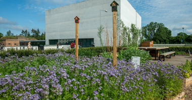 Na zdjęciu Brama Poznania, przed nią pole pełne fioletowych kwiatów