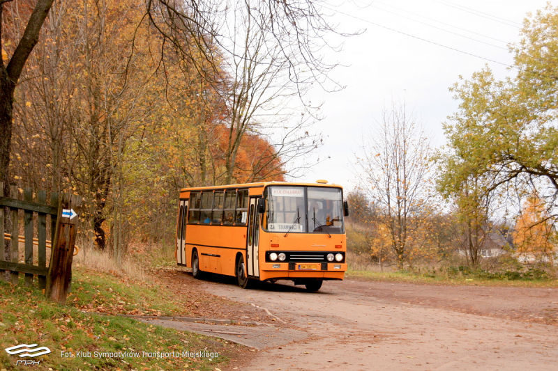 Na zdjęciu pomarańczowy autobus - grafika artykułu