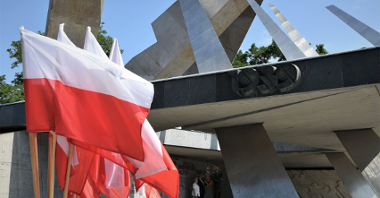 Galeria zdjęć przedstawia poznańskie obchody Święta Wojska Polskiego.
