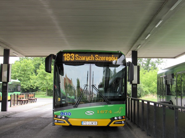 Autobus linii 183 - grafika artykułu