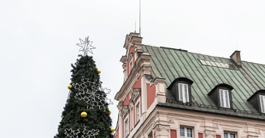 Galeria zdjęć przedstawia choinkę bożonarodzeniową udekorowaną lampkami i bombkami.