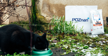 Na zdjęciu kot jedzący z miski, w tle karma i torba z napisem Poznań
