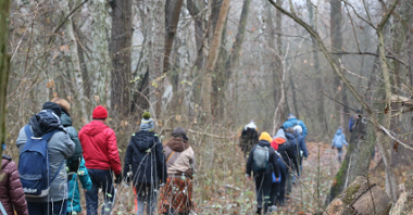 Na zdjęciu grupa ludzi spacerująca po lesie.