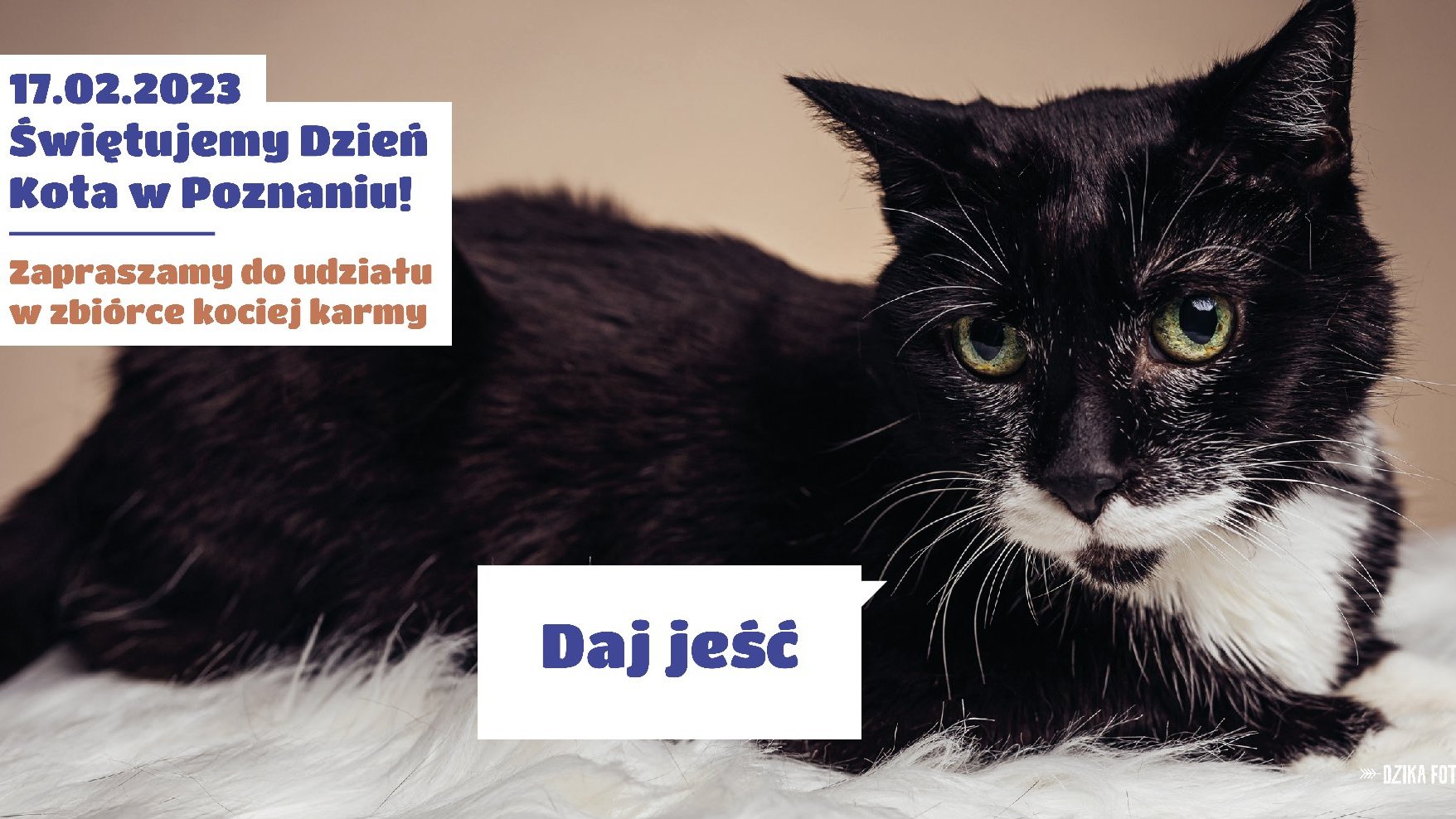 "" - grafika artykułu