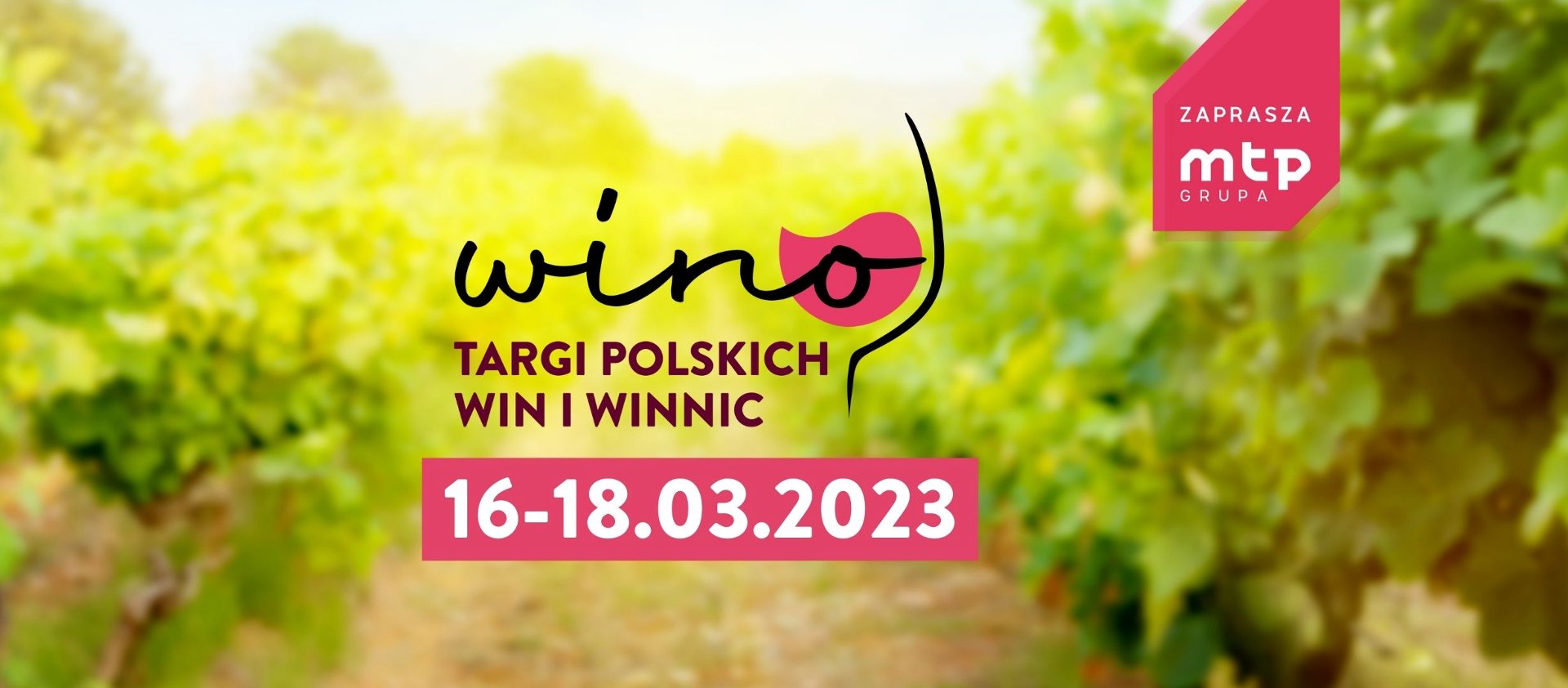 Zdjęcie przedstawia grafikę z napisem "Wino - Targi Polskich Win i Winnic", datą wydarzenia oraz logo Grupy MTP. - grafika artykułu