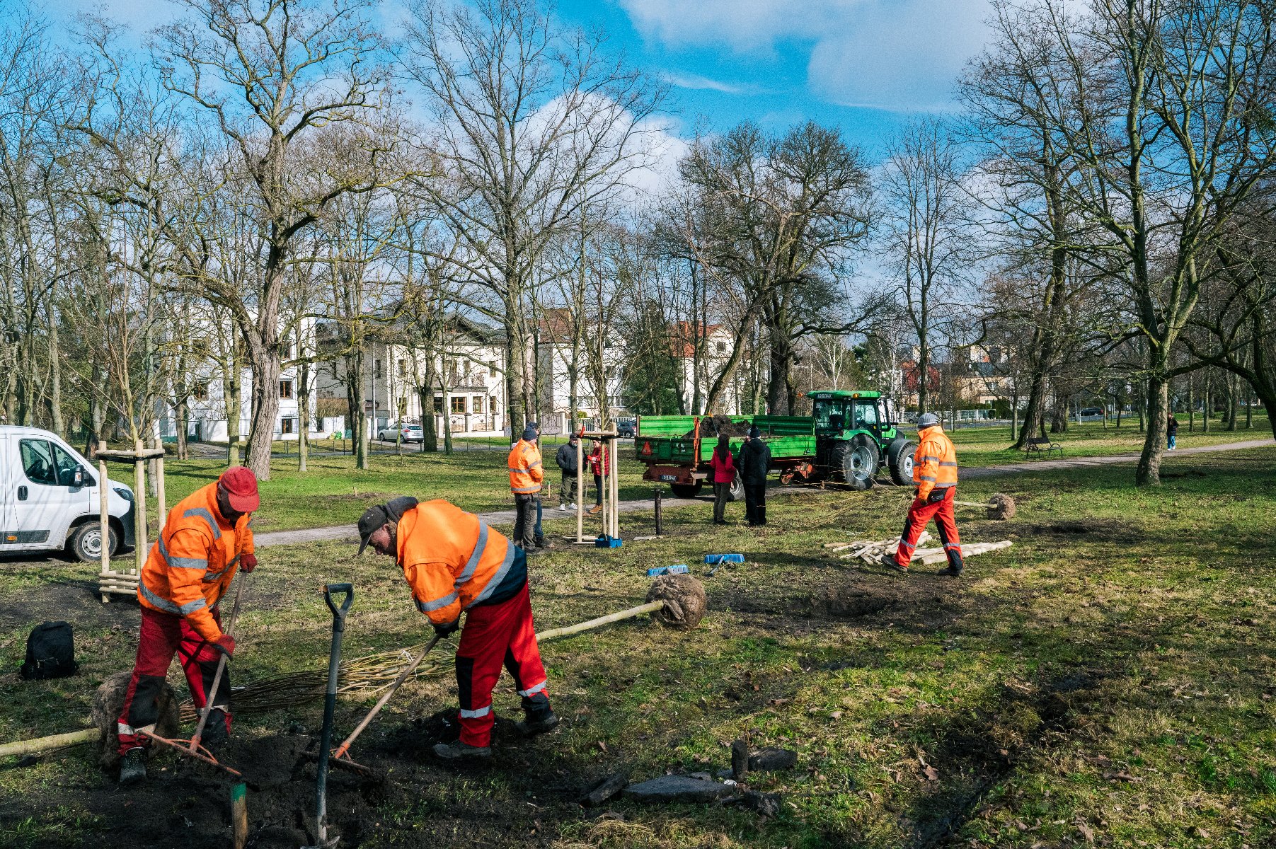 Galeria zdjęć z sadzenia drzew w poznańskim parku - grafika artykułu