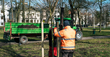 Galeria zdjęć z sadzenia drzew w poznańskim parku