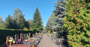 Na zdjęciu cmentarna alejka, po prawej drzewa, po lewej nagrobki