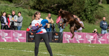 Na zdjęciu pies lecący w powietrzu i łapiący frisbee, obok kobieta