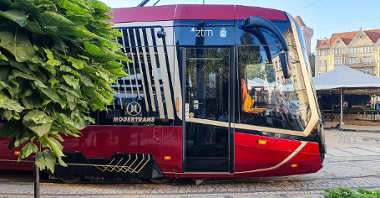 Na zdjęciu czerwony tramwaj, na pierwszym planie drzewo