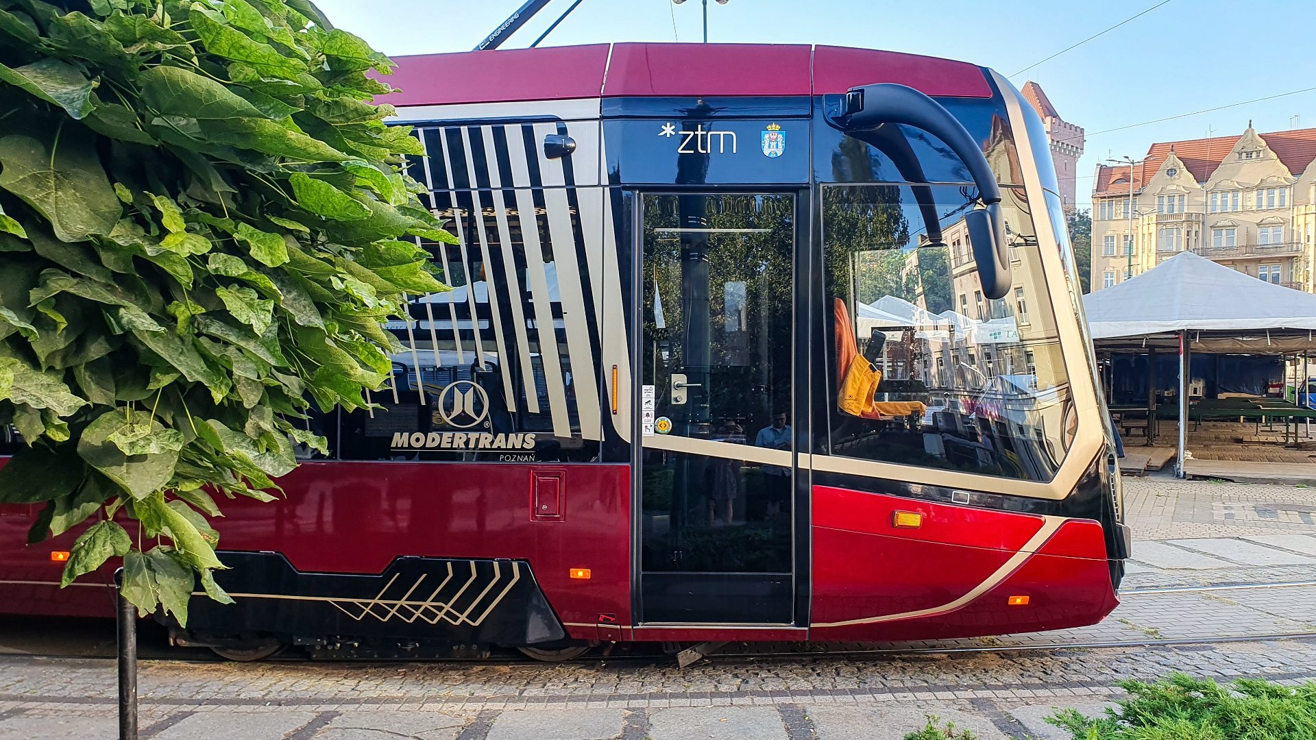 Na zdjęciu czerwony tramwaj, na pierwszym planie drzewo - grafika artykułu