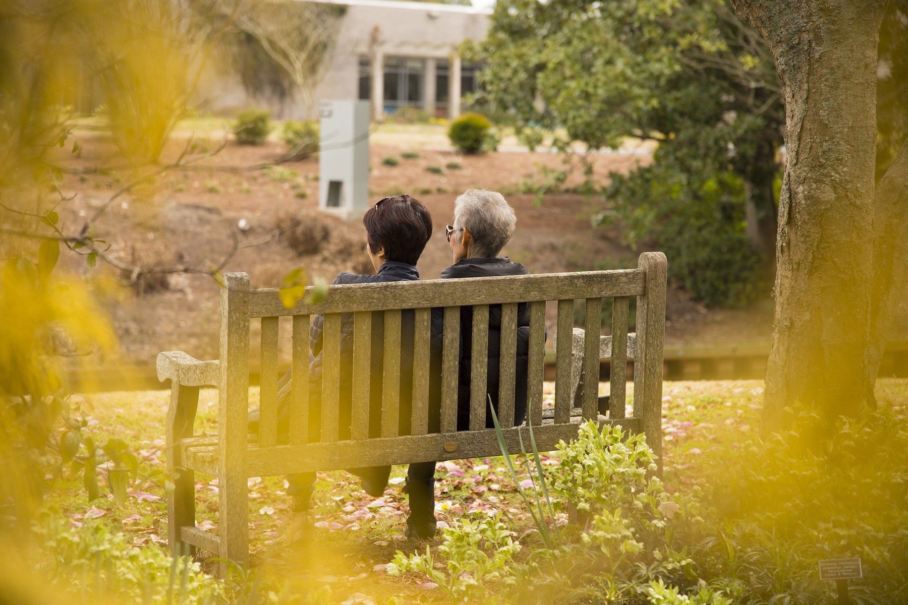 Na zdjęciu dwie starsze kobiety siedzące na ławce, tyłem do obiektywu - grafika artykułu