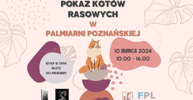 Plakat zapowiadający imprezę. Widać na nim rysunek kota oraz informacje o wydarzeniu.