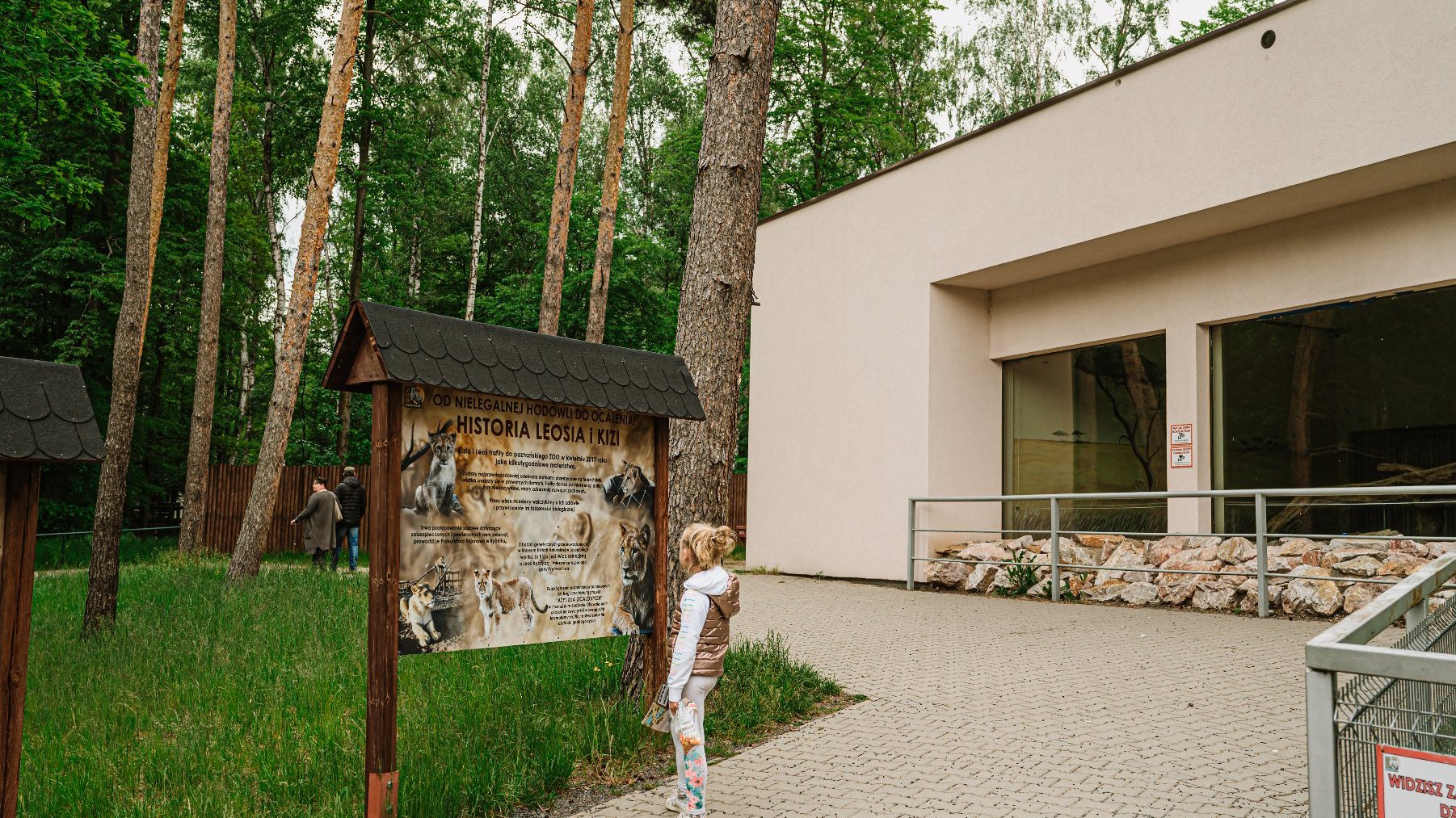 Zdjęcie przedstawia budynek z przeszklonymi ścianami oraz tablicę informacyjną na temat historii mieszkających w zoo lwów. przed tablica stoi dziewczynka.