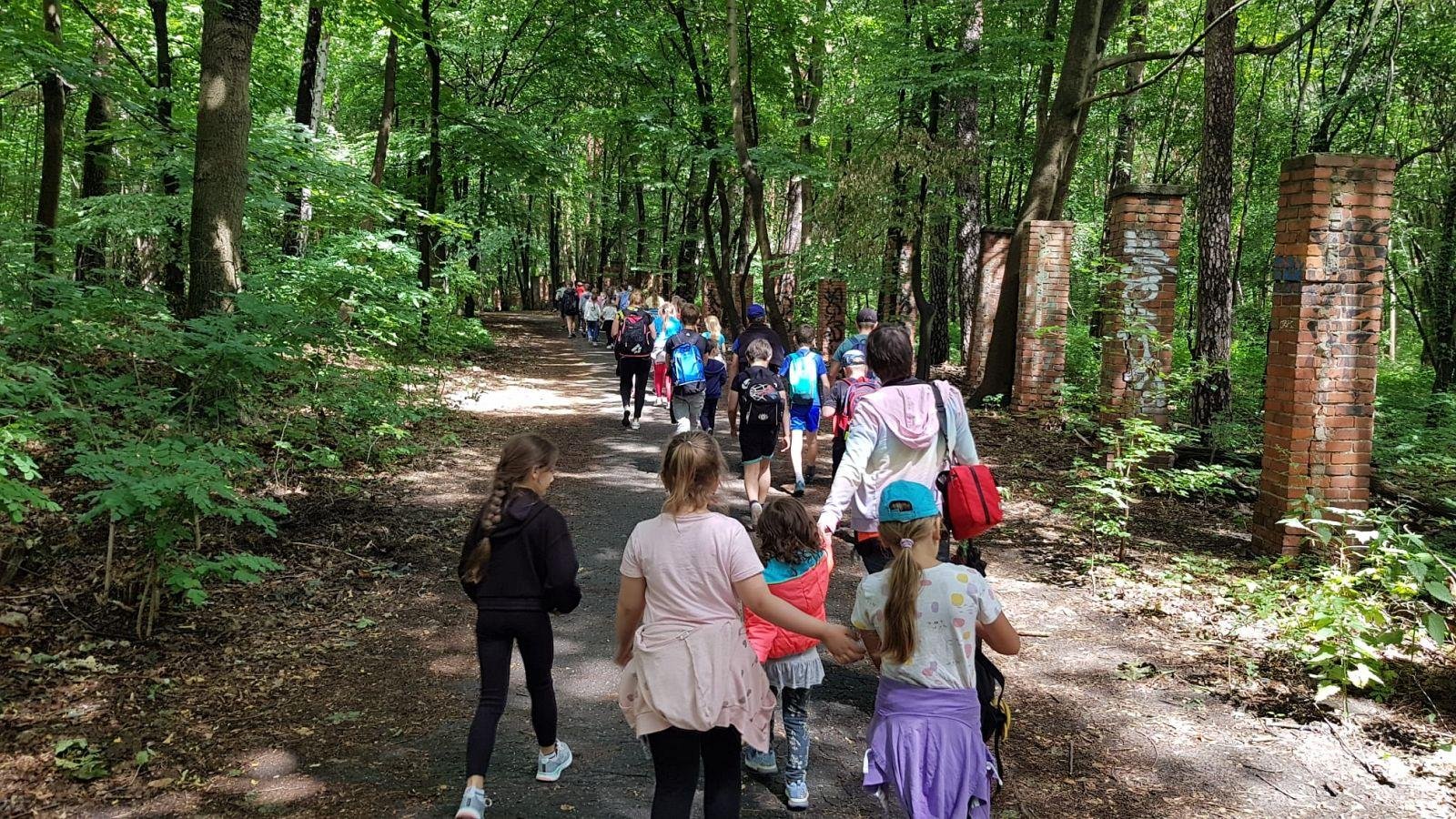Zdjęcie przedstawia grupę dzieci i opiekunów idących przez las.