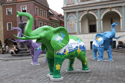 Kolorowe słonie wróciły do Poznania - grafika artykułu
