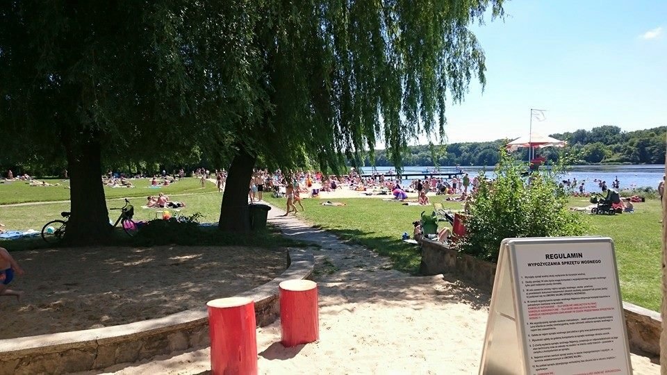 Frajda 2015