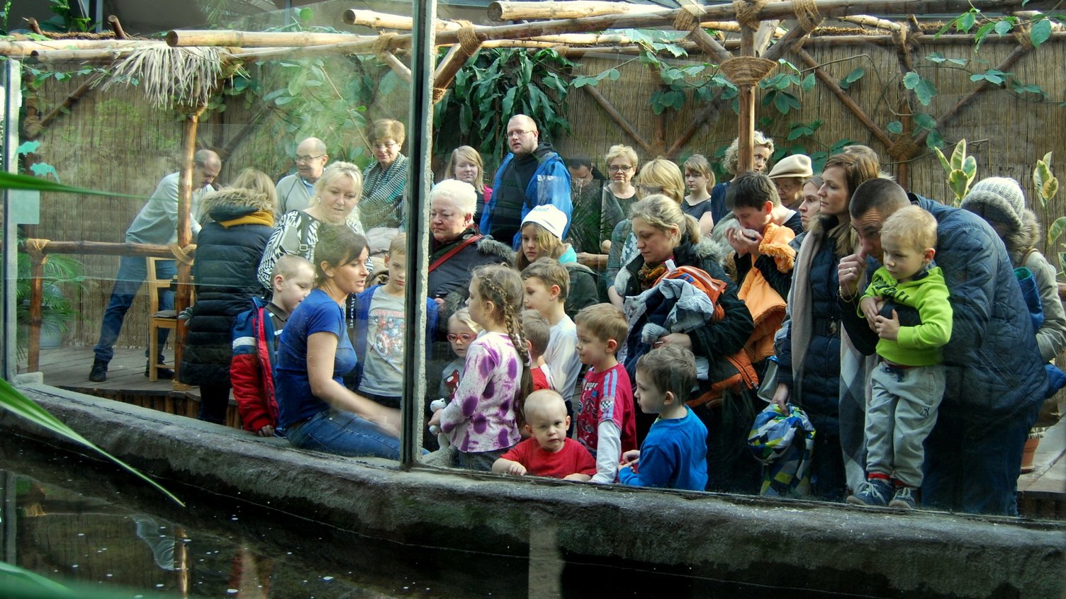 Stare Zoo