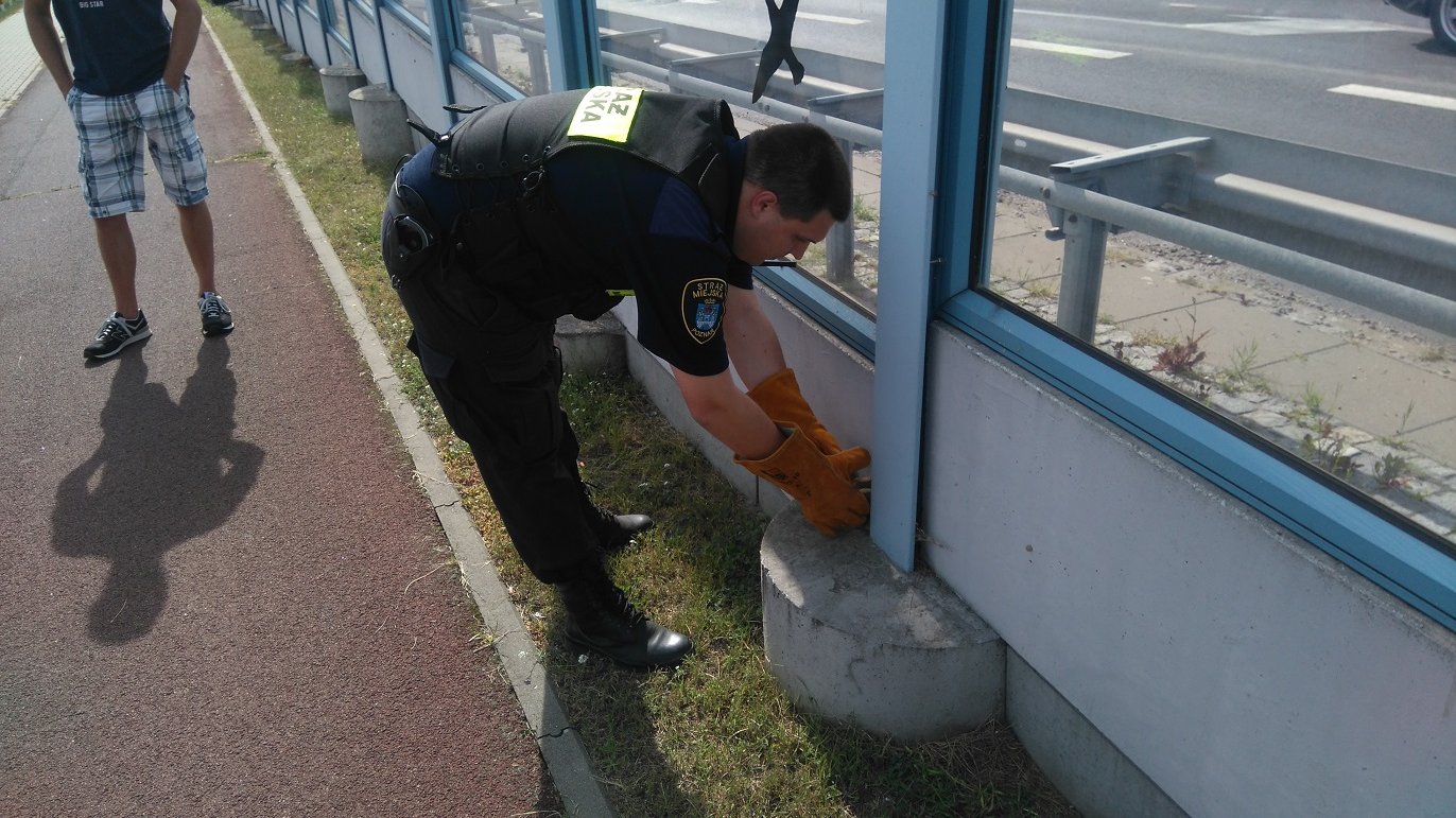 Eko Patrol podczas akcji