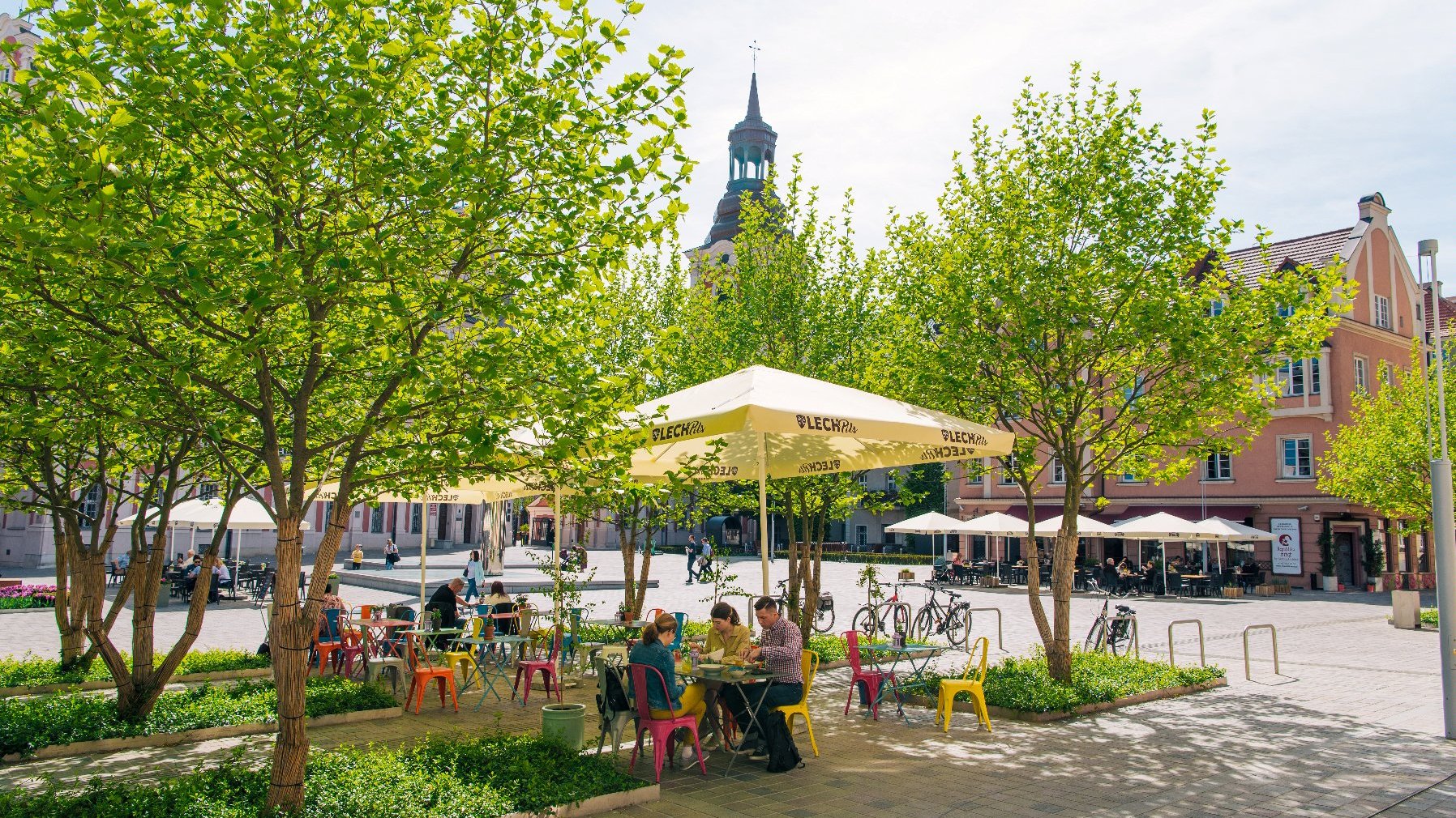 Na zdjęciu plac Kolegiacki, na pierwszym planie ogródek kawiarniany wśród drzew