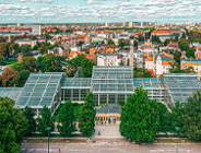 Święty Mikołaj pod palmami? Tylko w Palmiarni Poznańskiej