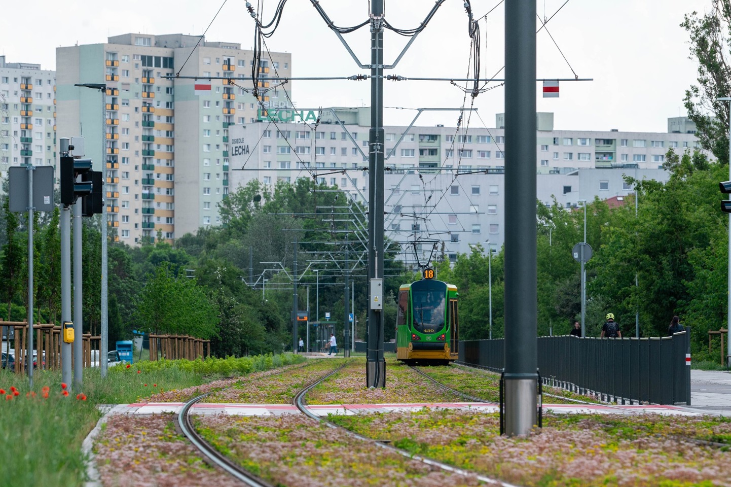 W niedzielę 27 lipca od godz. 5 do 11 trasę zmienią 4 trasy tramwajowe fot. ZTM Tramwaj linii nr 18 na trasie kórnickiej w stronę Franowa