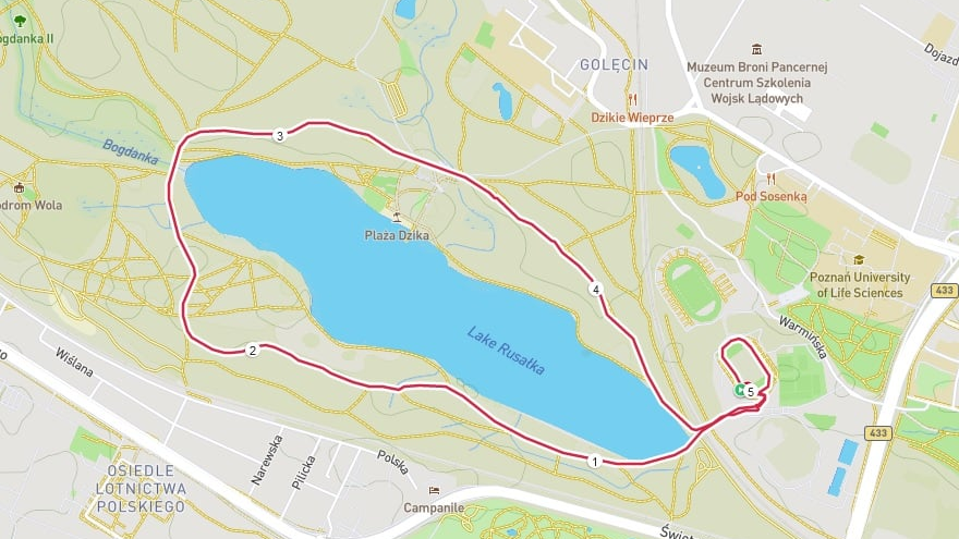 Trasa biegu wokół jeziora Rusałka.