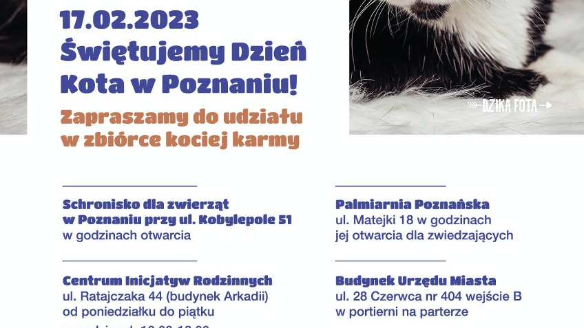 Plakat z kotem oraz informacjami na temat miejsc, w których można zostawić karmę dla zwierząt