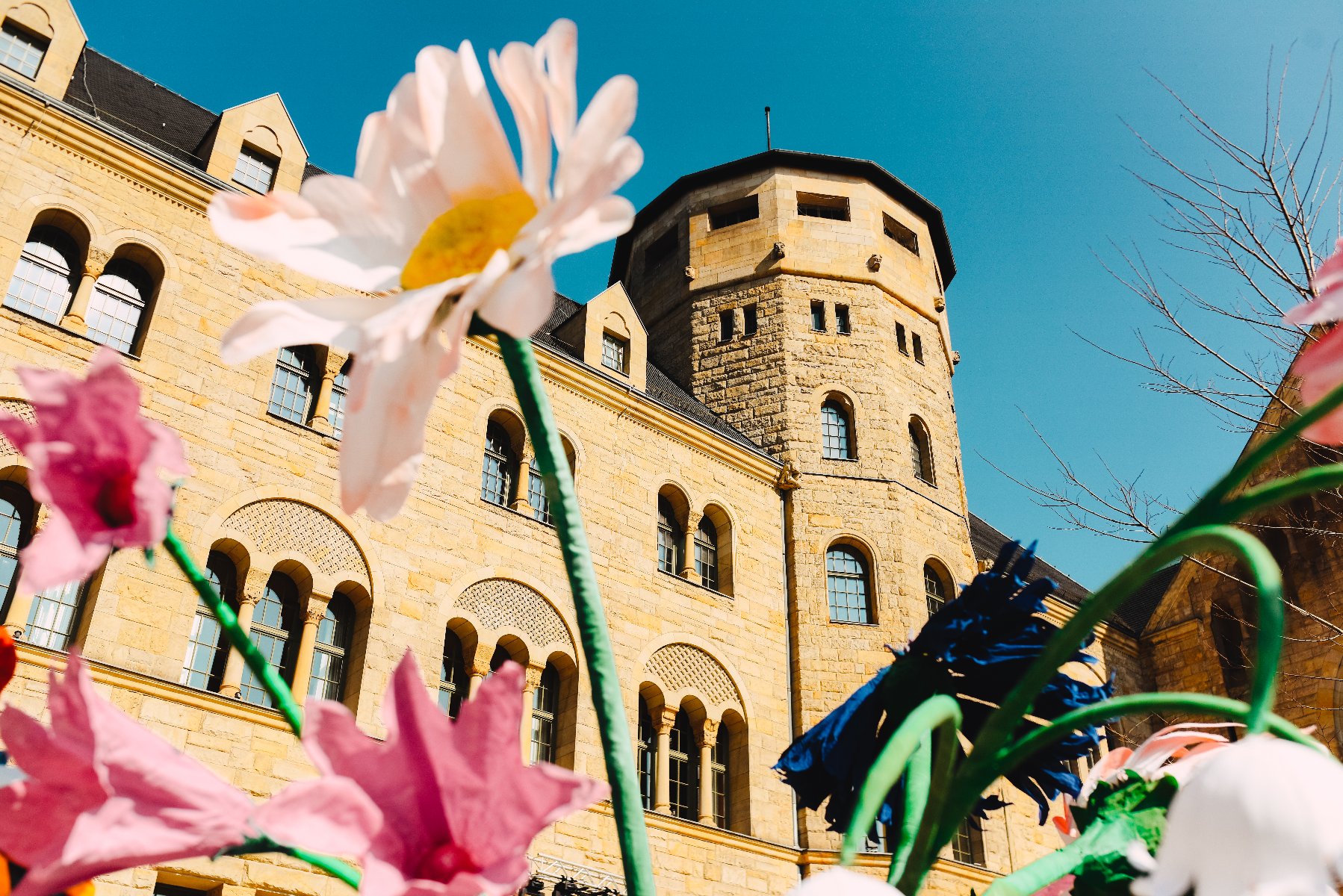 Widok na żółtą, kamienną fasadę zamku z wieżą na tle bezchmurnego nieba. Na pierwszym planie znajdują się duże, sztuczne kwiaty w kolorach białym, różowym i niebieskim, które przesłaniają część budynku.
