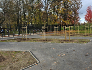 Więcej zieleni przy pływalni w parku Kasprowicza