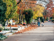 Wyszukiwarka cmentarna pomoże znaleźć groby bliskich