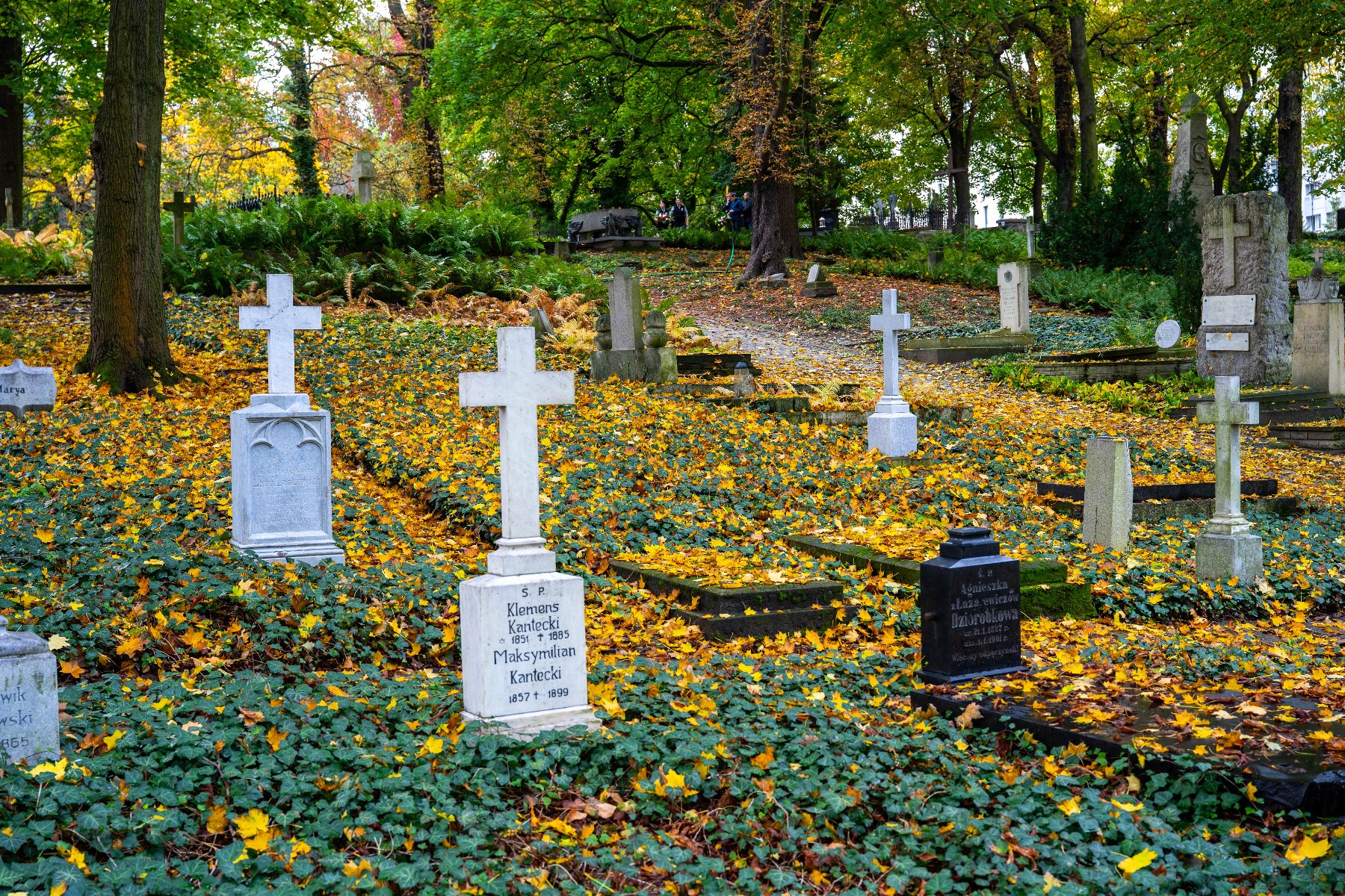 Zdjęcie przedstawia nagrobki na cmentarzu. Obok widać drzewa. Na ziemi leżą liście.