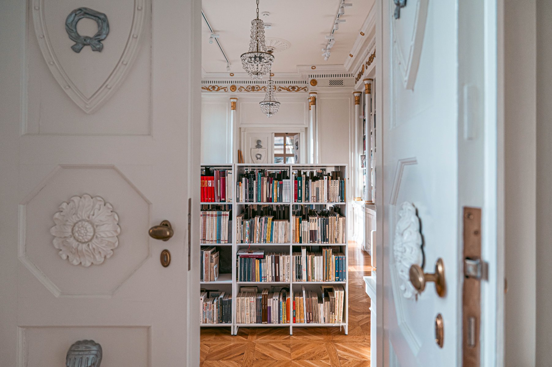 Zdjęcie przedstawia półki z książkami.