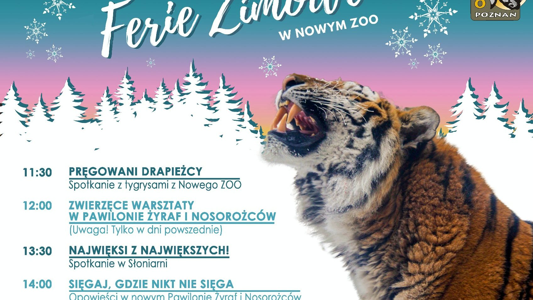Grafika z tygrysem w zimowym klimacie z informacjami o wydarzeniach