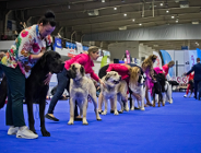 Вихідні в Познані