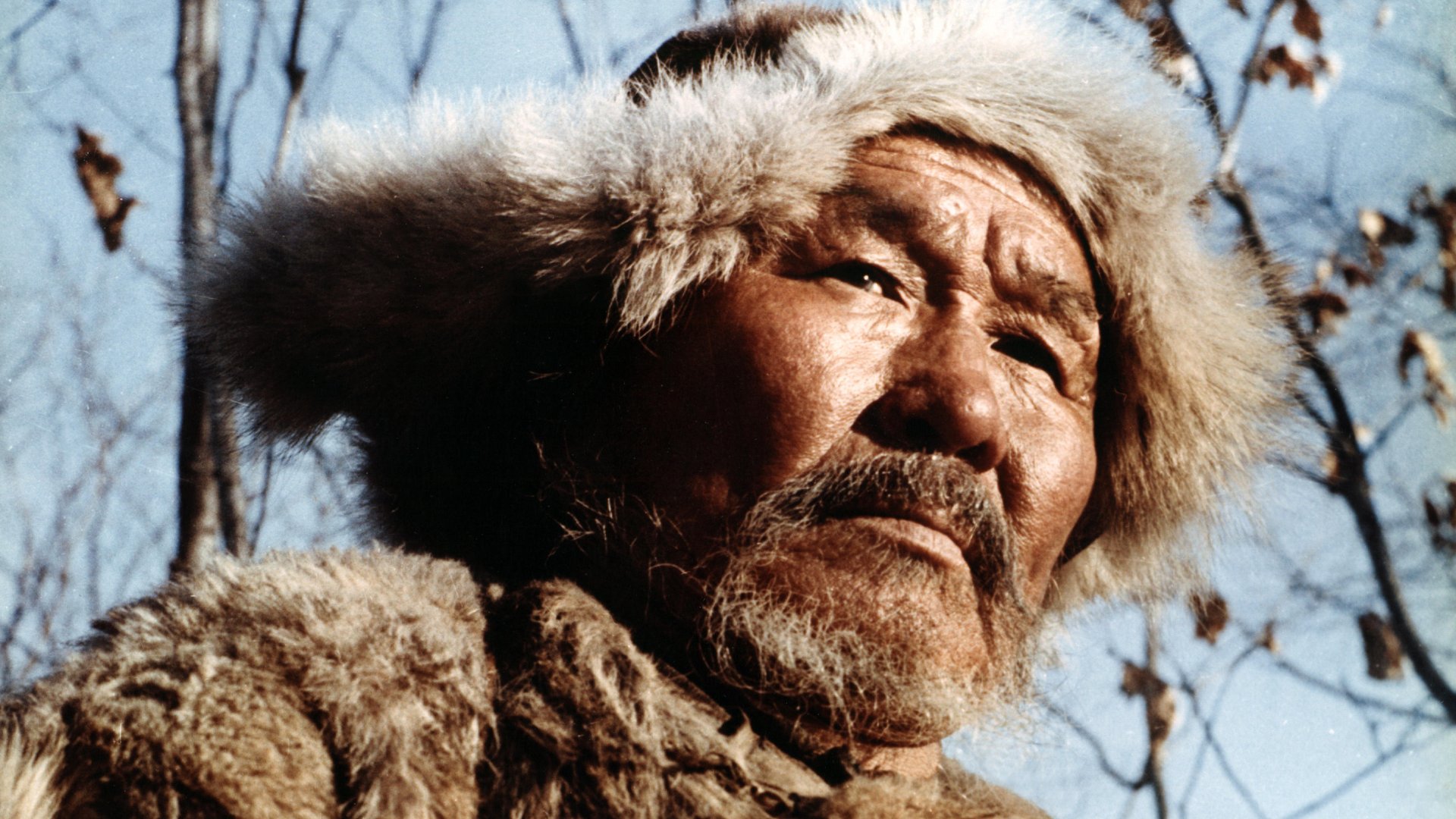 У кінотеатрі «Муза» ретроспектива творчості Акіри Куросави - майстра, який поєднував універсальні теми з японською традицією. Фото: кадр з фільму/мат Кінотеатр «Муза»