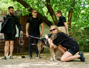 SOFTWISS zorganizował akcję charytatywną na rzecz schronisk dla zwierząt w Poznaniu