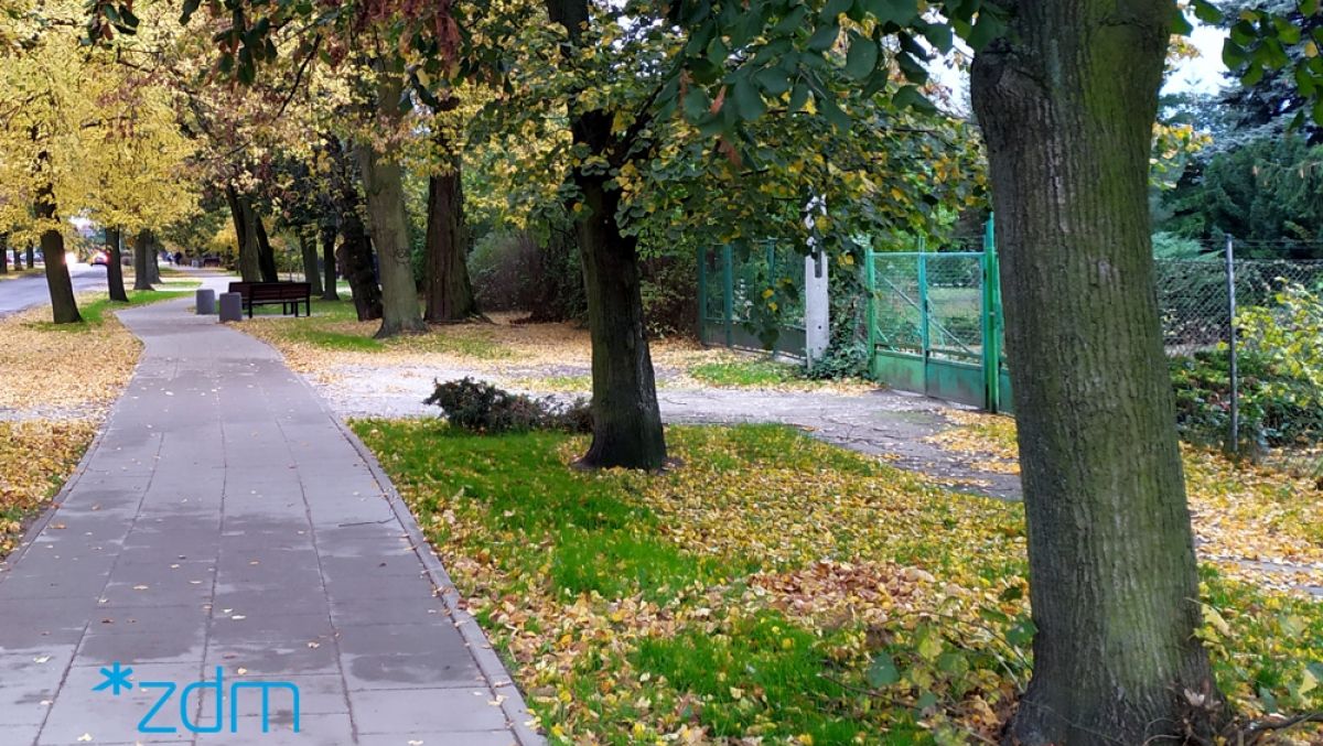 Nowa aleja spacerowa wzdłuż ulicy Skibowej (Szczepankowo) - grafika artykułu