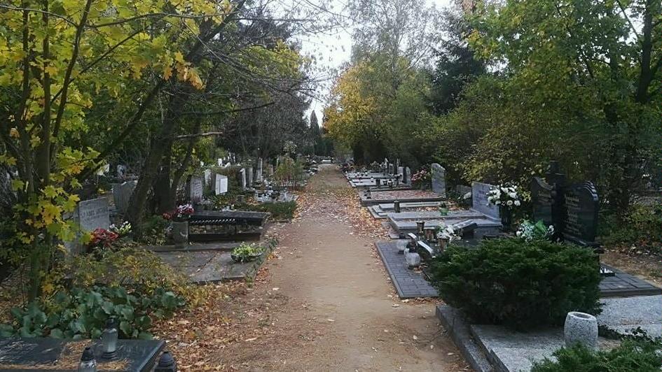 Cmentarz na Junikowie - grafika artykułu