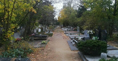 Cmentarz na Junikowie
