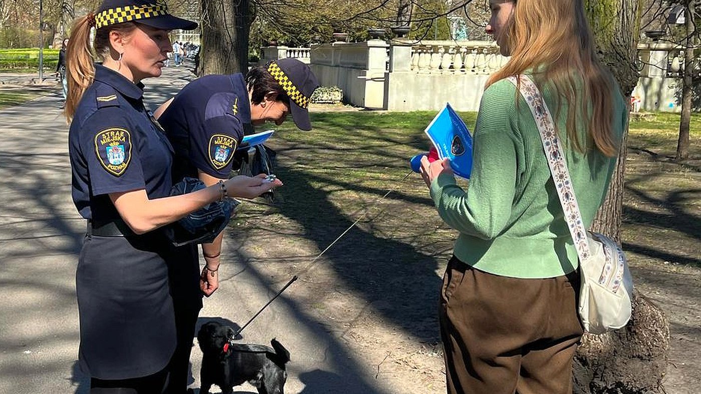 rozmowa z opiekunką psa