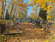 Wszystkich Świętych - najważniejsze informacje