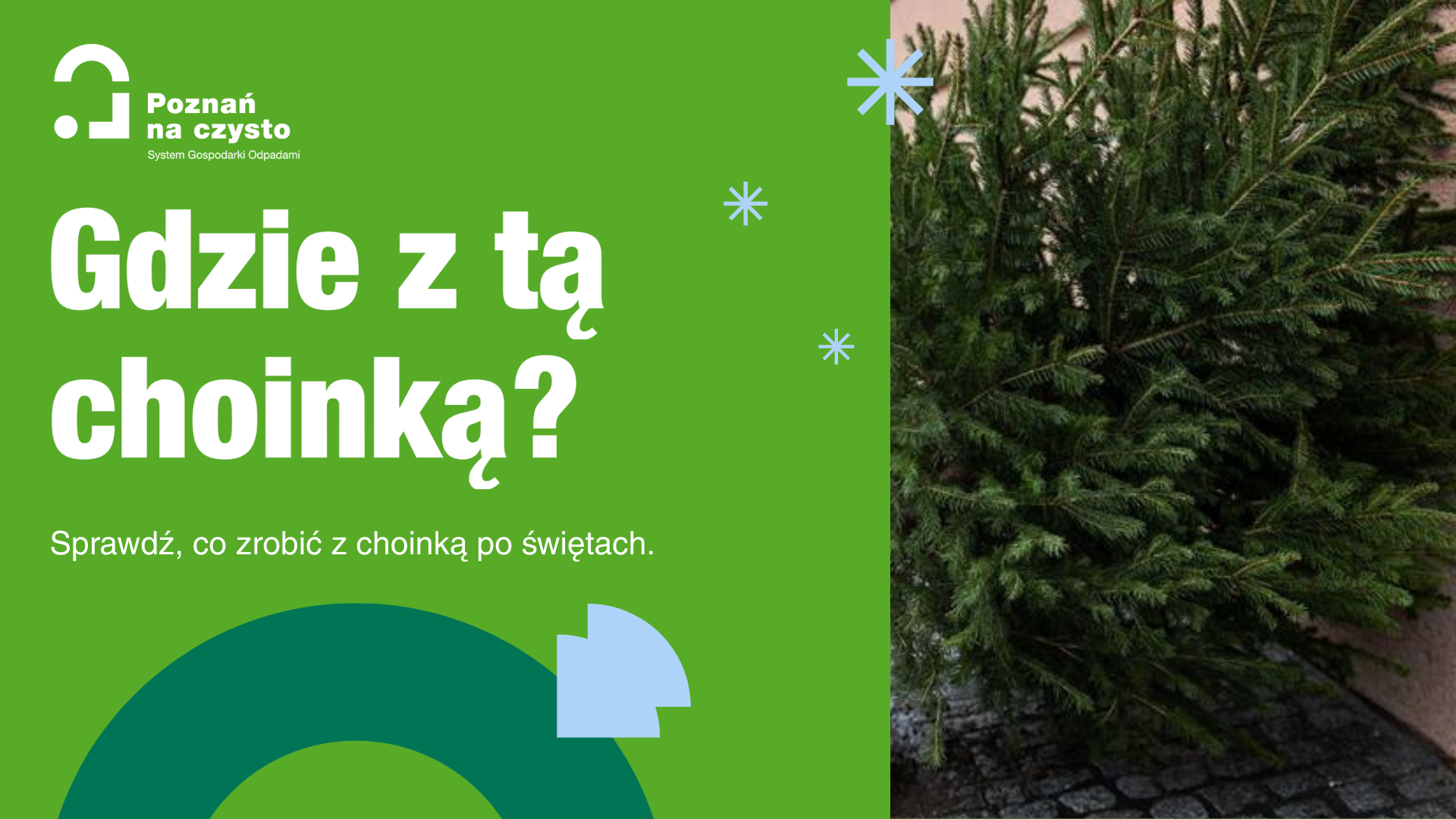Grafika przedstawia biały napis "gdzie z tą choinką" na zielonym tle oraz zdjęcie żywej choinki