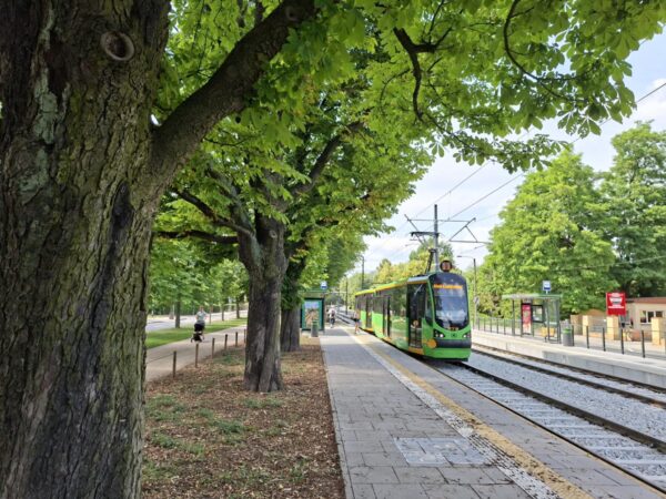 Zmiany w komunikacji miejskiej - letni rozkład jazdy fot. ZTM Zdjęcie przedstawia jadący tramwaj, mijający przystanek oraz drzewa