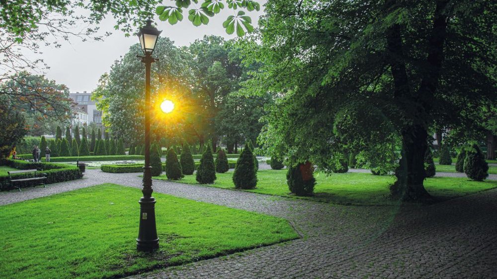 Park Chopina wczesnym wieczorem. Na zdjęciu widać parkową, brukowaną ścieżkę. Z prawej strony duże drzewo, z lewej latarnia. W tle widać ostry błysk latarni uchwycony przez fotografa. W dalekim planie widać Collegium Minus.