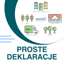 Grafika przestawia usługę internetową, realizowaną przez portal Proste Deklaracje