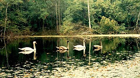 Der Großpolnische Nationalpark