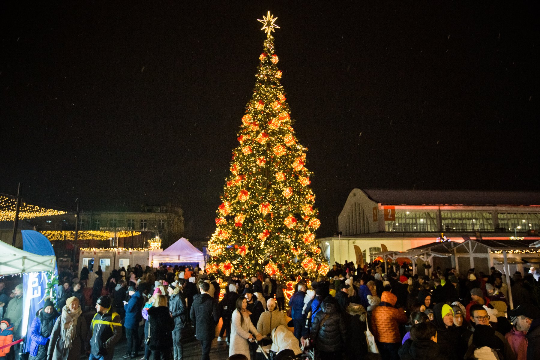 Christmas tree at MTP