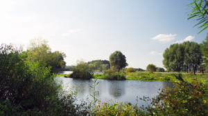 The Rogalin Landscape Park