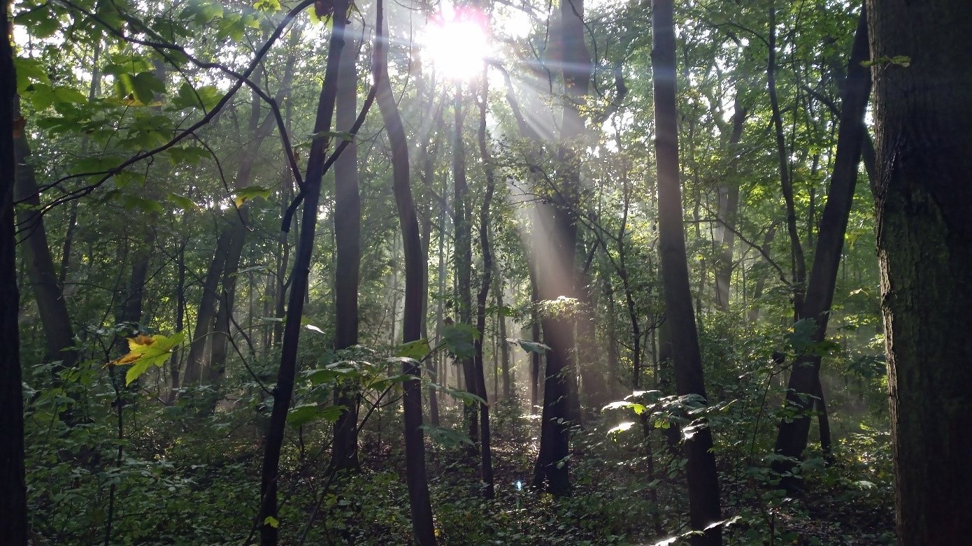 UWAGA! Zmiana w obsłudze klientów Wydziału Klimatu i Środowiska